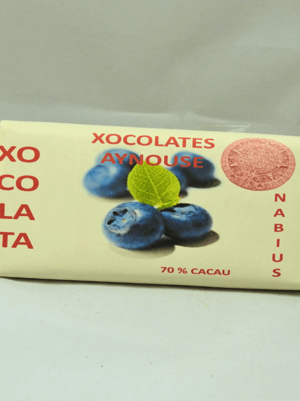 Chocolate negro con Arándanos