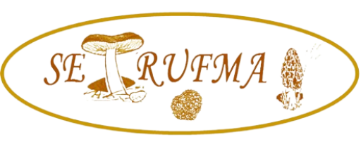 Setrufma tienda online de trufas y setas