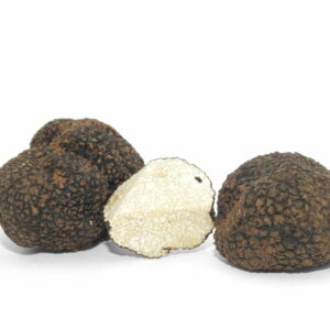 Trufa de verano (Tuber aestivum)