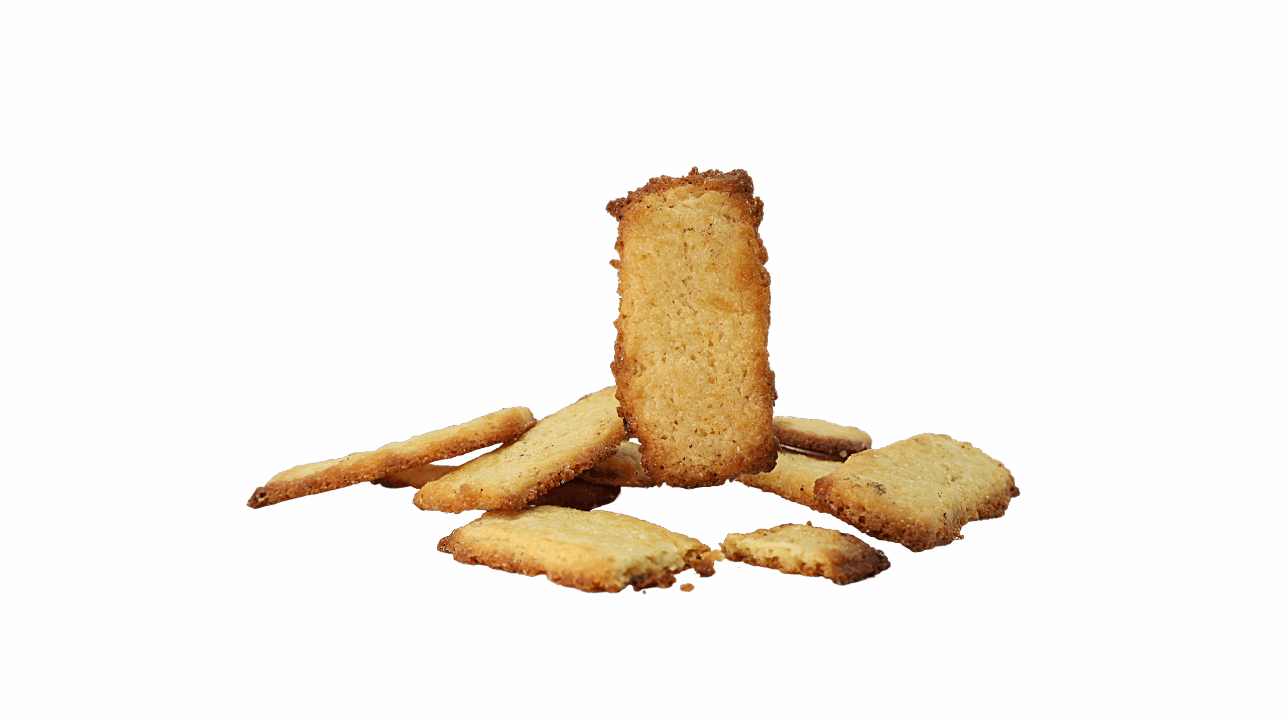 Sequillos (12 unidades)